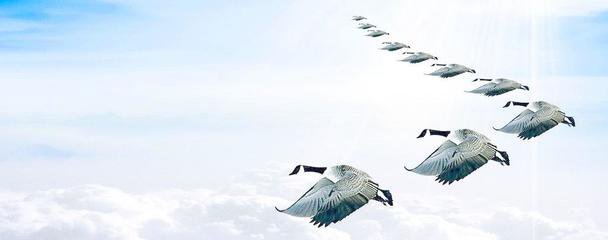 HR关于团队建设问题