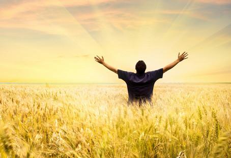 如何培养自己成为专业职场人